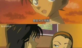 柯南水平线上的阴谋 柯南水平线上的阴谋