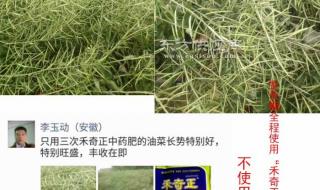 叶面肥厂家报价