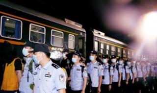 四川不能自家杀猪