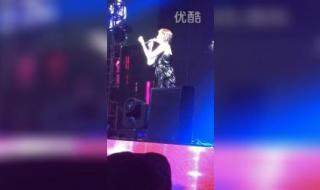 陈慧琳记事本演唱会 陈慧琳记事本演唱会