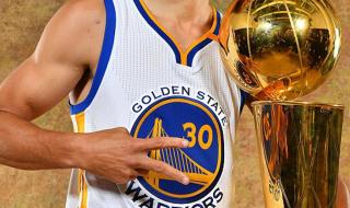 勇士总冠军一览表